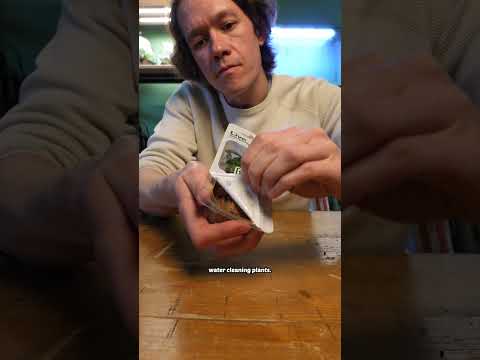 how to make a tiny aquarium