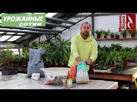 Ideal SOIL for SEEDLINGS. Just a couple of available components for an excellent result.