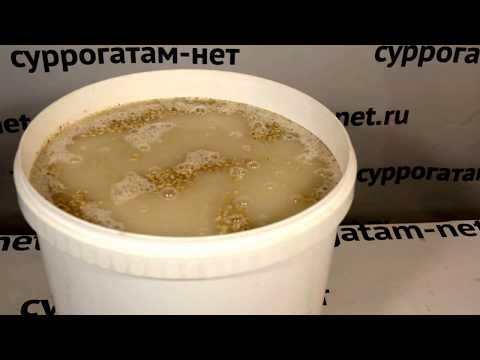 Grain moonshine on koji or I made it from what I had