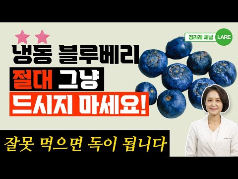 냉동 블루베리 그냥 먹으면 안되는 이유! 블루베리와 함께 먹으면 좋은 음식 [정라레]