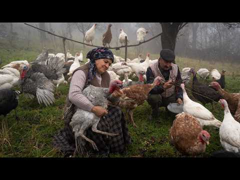 Rustic Turkey Pilaf Cooked the Village Way 🌶