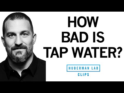How Bad Is Tap Water for Health? | Dr. Andrew Huberman