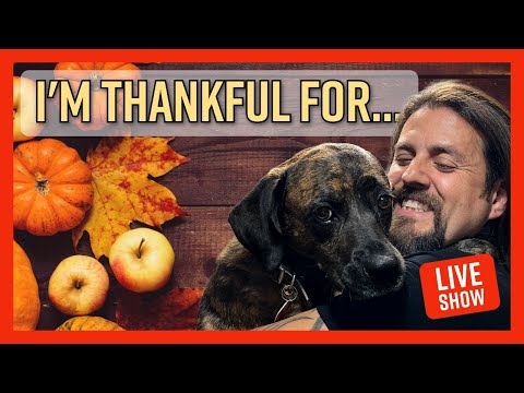 What Thankfulness Really Does for Your Hustle