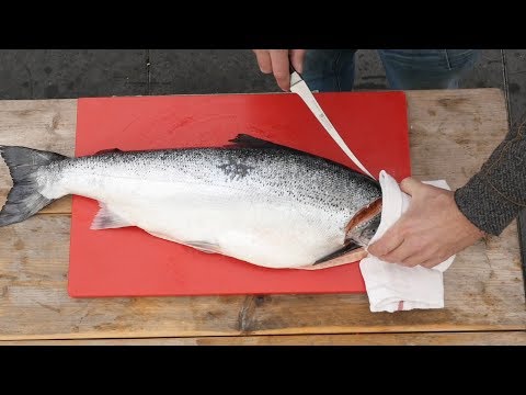How To FILET a WHOLE SALMON - - Easy to do!