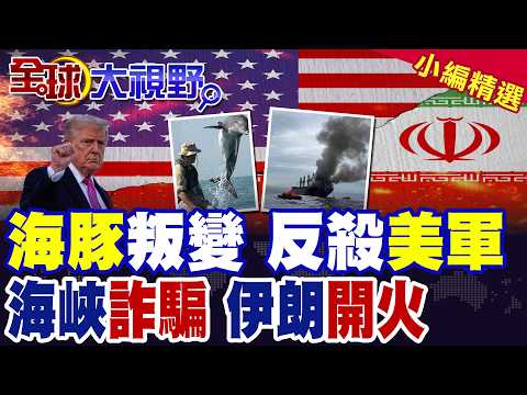 掃雷海豚突失控叛變 怒拖水雷撞美軍戰艦 震驚全球! 加密幣過路費騙局 船隻闖荷姆茲 遭伊朗武力打擊!|【全球大視野】精華版 @全球大視野Global_Vision