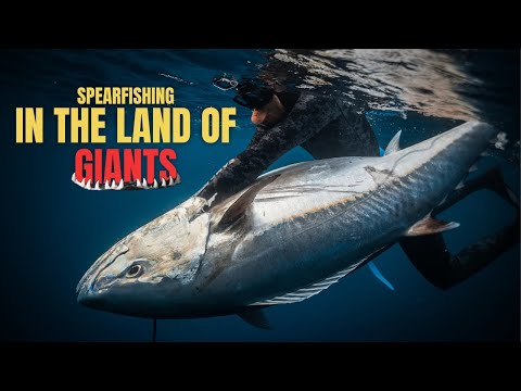 12 Days Hunting Giants in Remote Indonesia