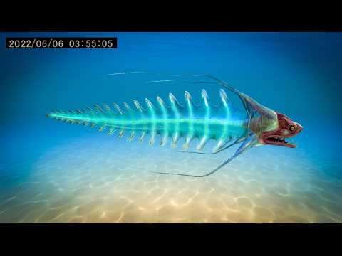 30 Most DISTURBING Deep Sea Creatures Caught on Camera!