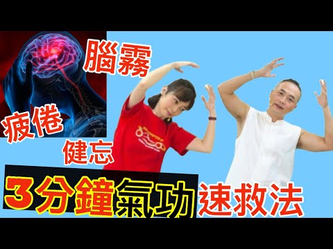 【腦霧.疲倦】3分鐘氣功 暢通微循環 腦霧速救法      【feat.氣功老師 彥寬/健康主播鄭凱云】