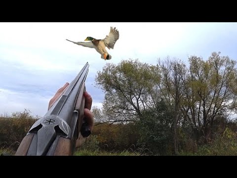 ВСЕ КАК В ТУМАНЕ! ВЫСТРЕЛ ДЫМНЫМ ПОРОХОМ! Охота на утку с подхода в компании с папой.