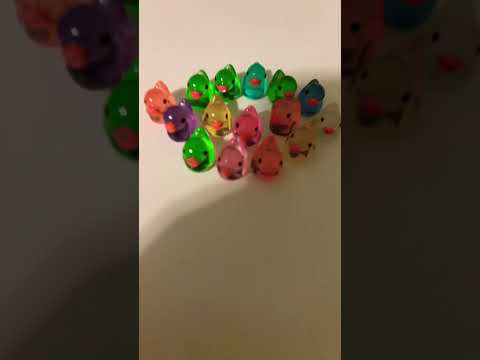 The trillium trend #trilliumtrend