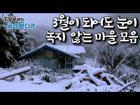 “그대들의 봄은 푸르지만, 우리는 여전히 하얗다”｜3월에도 눈이 1m 넘게 쌓여있는 국내 설국 마을 모음｜한국기행｜#골라듄다큐