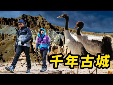 騙老闆娘入無人區 驚現千年古城!