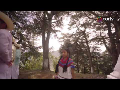 HUAUTLA DE JIMÉNEZ/TECÓATL: “Camino a La Guelaguetza”