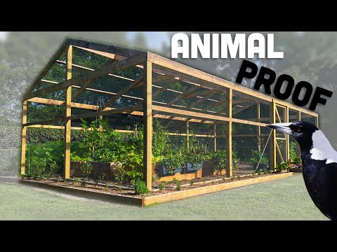 I built my Mum her dream vegetable garden.