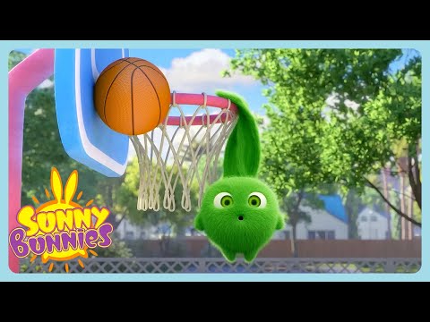 SUNNY BUNNIES - Long-eared Basketball Star | NEW SEASON 7 | WildBrain Zoo | Cartoons for Kids