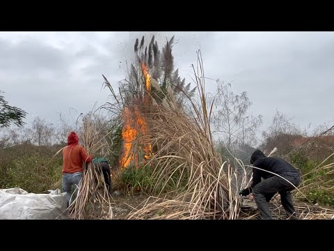 Shocking Outrage: Trash Dumped Outside Two Schools— A Shocking Sidewalk Cleanup.