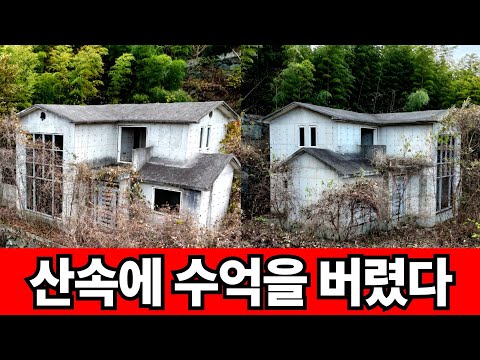 묫자리에 지은 유령 전원주택 2채
