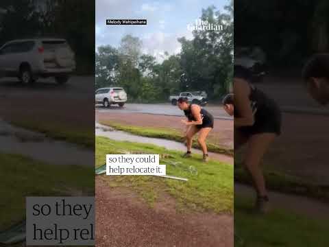 Local helps remove croc outside NT bottle shop during school drop off