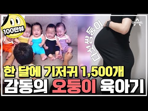 [#Full다큐] 하루 기저귀는 한 팩! 분유는 한 통! 기적 같은 오둥이 출산과 육아의 찐 민낯 | 채널A 프라임 다큐 | 크리스마스 스페셜 금쪽같은 오둥이