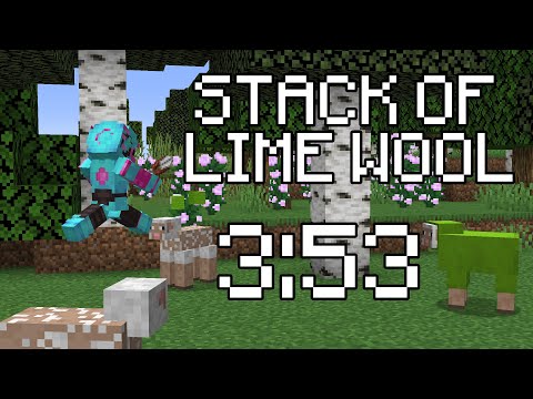 The Wackiest Minecraft Speedrun World Record