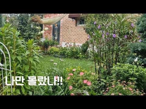 나만 몰랐나!! 내돈내산 가드닝 아이템 #가드닝 소품