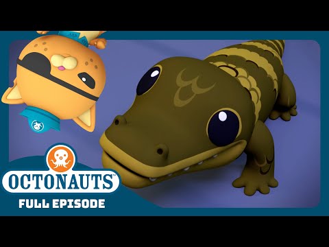 @Octonauts - 😻 The Baby Gator 🐊 | Season 4 | Full Episode | Cartoons for Kids