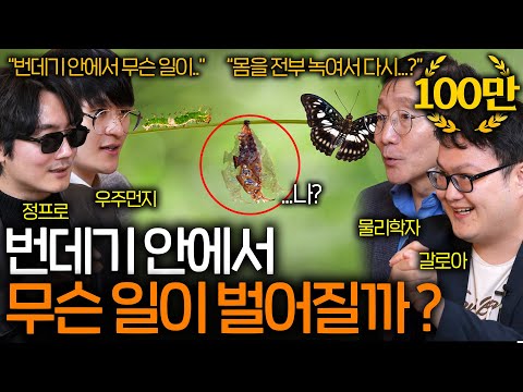 곤충학계를 충격에 빠트린 번데기 과정이 생겨난 이유 (바퀴벌레와 지렁이가 사랑을..) ㅣ과학을 보다 EP.61