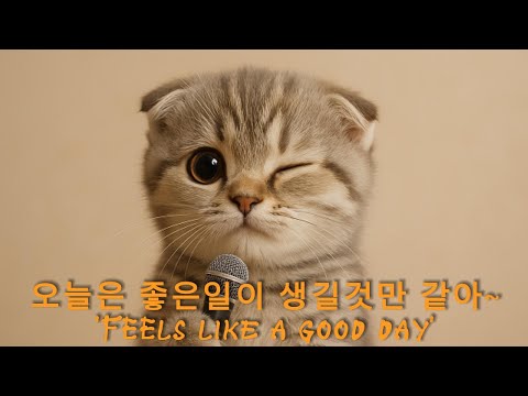좋은일이 생길것만 같은 느낌적인 느낌~