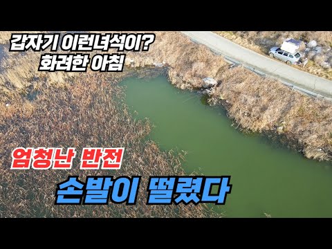 겨울을 찢어버린 화려한 아침