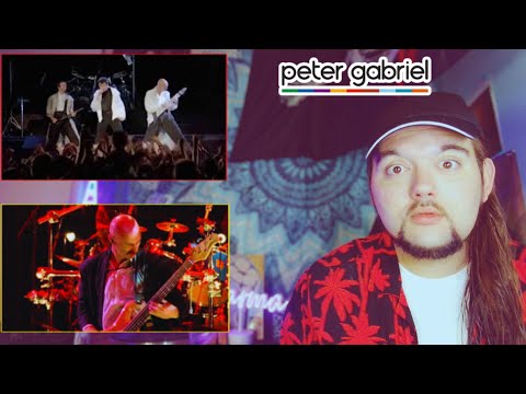 Drummer reacts to "Solsbury Hill" / "Steam" / "Games Without Frontiers"/ "Red Rain" by Peter Gabriel