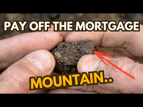 I Followed What Looked Like A Small Trench To A Massive Golden Payday!