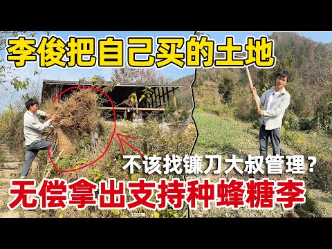 李俊把花钱租的地和买的土地，全部无偿拿出来支持村里种蜂糖李，大家都是不该找镰刀大叔管理