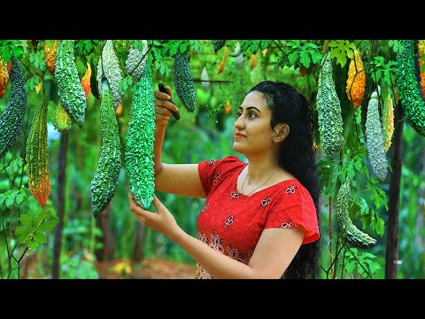 Bitter Gourd Curry and Moju 🥒 + Pineapple Jelly Dessert Made Fresh in My Sri Lankan Village Kitchen