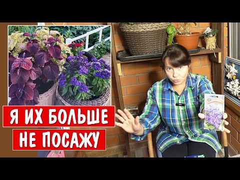 Мои ПОСЕВЫ 2025. Что я больше НЕ ПОСЕЮ НИКОГДА?