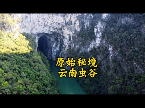 一不小心闯入了鬼吹灯里的云南虫谷了，这环境简直和书里面的一模一样