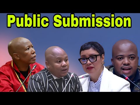 Ad Hoc Committee: Public Submission. Patricia Mashale, Gun free SA, Pilasande Dotyeni