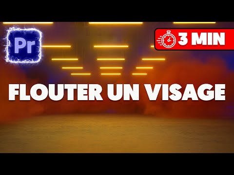 Comment flouter un visage sur Premiere Pro (TUTO EXPRESS)