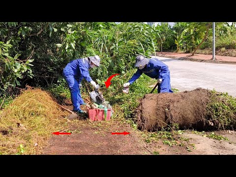 Abandoned Sidewalk Super Small But More Shocking of The Amount of Garbage and Overgrown Weeds