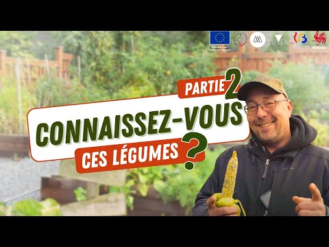 Ces légumes du potager qu'on ne voit pas au supermarché : partie 2 ! - Eveil Comesti Lab