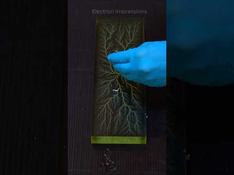 Lightning Became Frozen in the Plastic! #experiment  #cool #scienceexperiment #wow #art #fractal