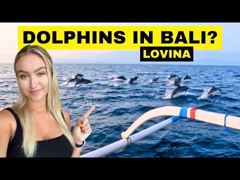 SWIMMING WITH WILD DOLPHINS IN BALI - LOVINA TRAVEL GUIDE