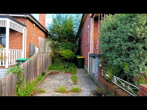 Cleanup & Remove Everything | Helping an Old Mate Clear a Jungle!!!