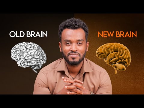 🛑 ለምንድነው መለወጥ እንዲ ከባድ የሆነው |ተመልሼ እዛው ነኝ‼️Why Change Is So Hard | The Hidden Truth About Your Mind