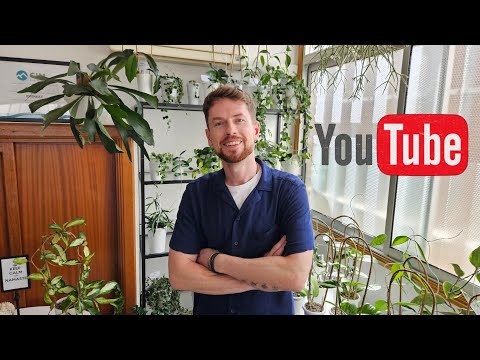 Мои хойи. Полный обзор молодой, но очень любимой коллекции.