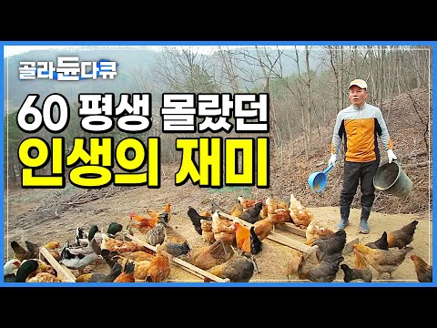 귀농하고 우울할 틈이 없다는 대기업 임원 출신 농부의 하루ㅣ환갑 넘어 발견한 인생의 재미ㅣ귀농 부부의 은퇴하고 동물농장ㅣ한국기행│#골라듄다큐