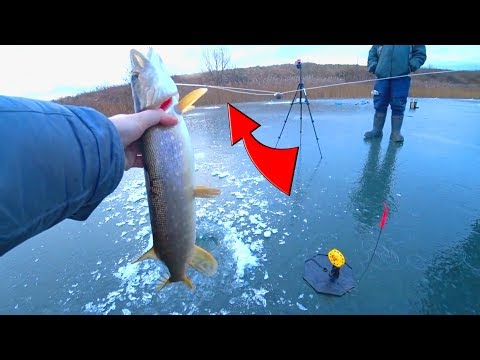 Лучший поводок на щуку для зимних жерлиц из лески! Альтернатива флюру со своими плюсами и минусами!