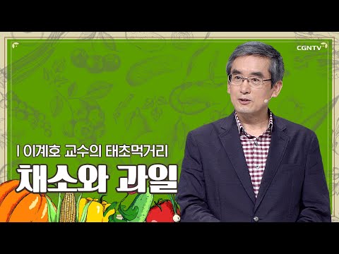 채소와 과일 | 이계호 교수 | 이계호 교수의 태초먹거리 | 4편