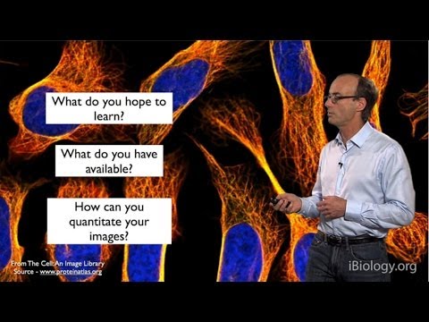 Microscopy: Choosing the Right Microscopy Technique (Ron Vale)