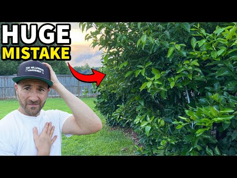 Big Mistake! 3 Fruit Trees I Wish I NEVER Planted In My Backyard