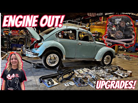 Wawa's Beetle Gets An Engine Overhaul.